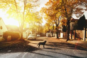 8 cidades brasileiras para viver com boas empresas para trabalhar