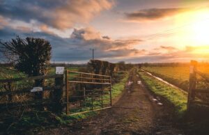 Dicas para quem busca morar um uma zona rural