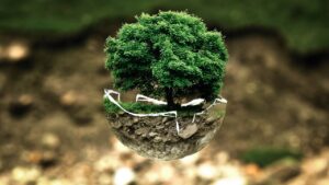 Consultoria ambiental, tudo o que você precisa saber